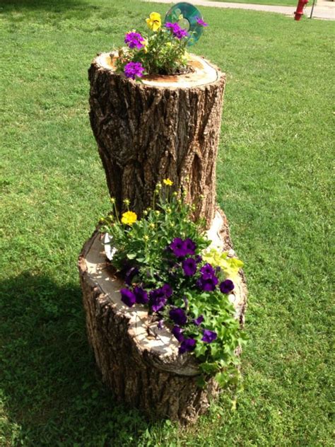 planters made from tree stumps.